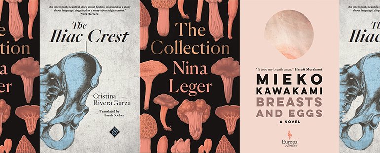 side by side series of the covers of The Collection, The Iliac Crest, and Breasts and Eggs