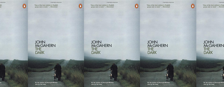 the book cover for The Dark, featuring a photograph of a man pushing a bike down a rural path under a cloudy sky