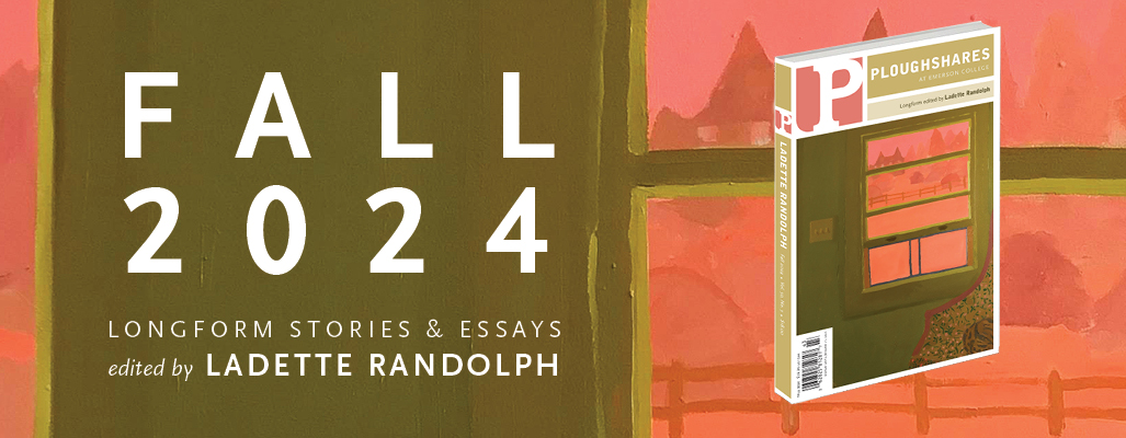 A close-up on an illustration of a green and orange window, with a white text that says, "Fall 2024 / Longform Stories & Essays Edited by Ladette Randolph"