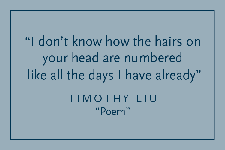 Gray background with dark blue text inside a dark blue border: "I don't know the hairs on / your heard are numbered / like all the days I have already" Timothy Liu, "Poem"