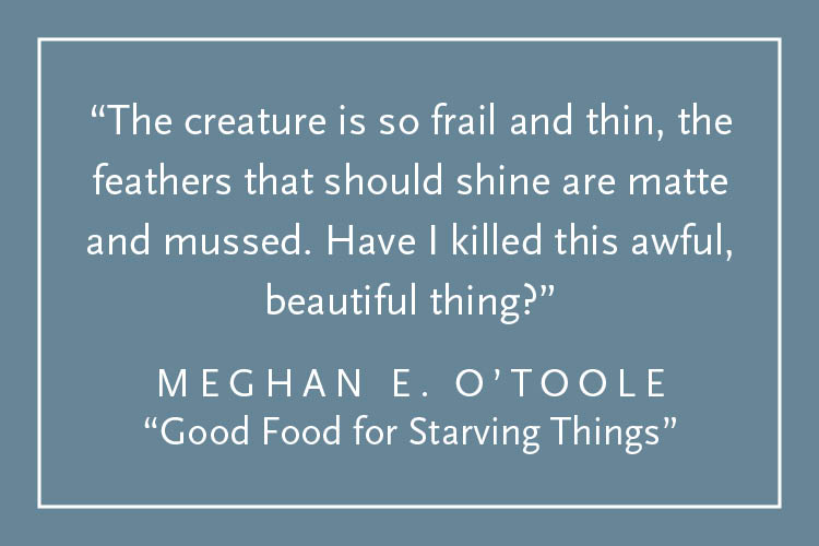 Teal background with white text inside a white border: "The creature is so frail and thin, the feathers that should shine are matte and mussed. Have I killed this awful, beautiful thing?" Meghan E. O'Toole, "Good Food for Starving Things"