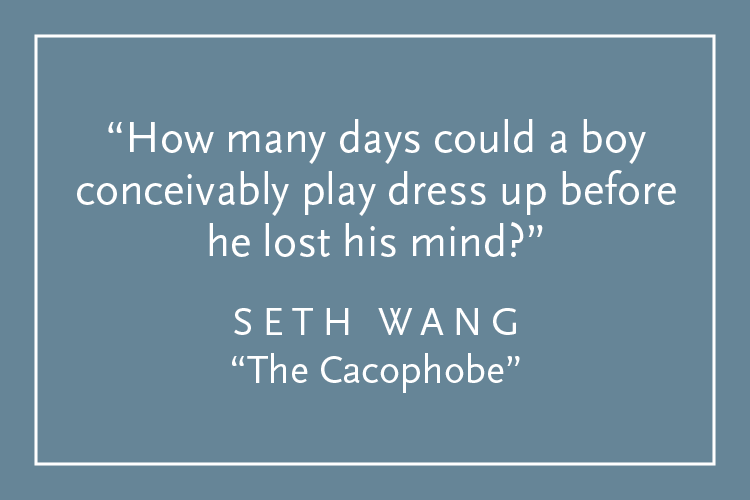Teal background with white text inside a white border: "How many days could a boy conceivably play dress up before he lost his mind?" Seth Wang, "The Cacophobe"