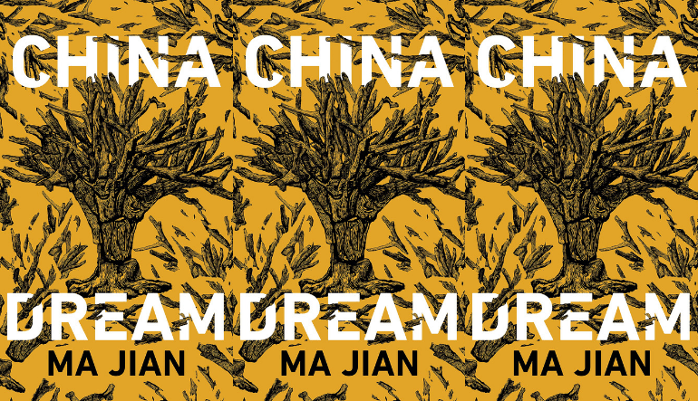 The cover of the book China Dream side by side.