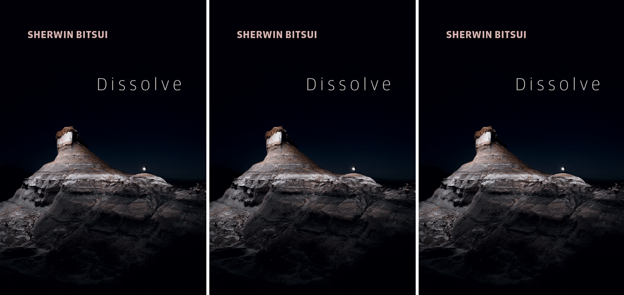 The cover for the book Dissolve.