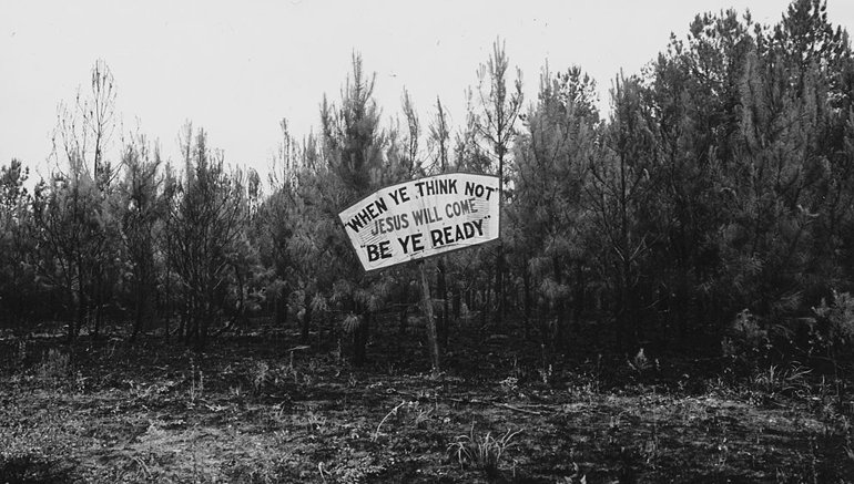 Black and white picture of a sign in a swamp.