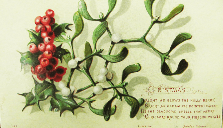 A branch of Holiday holly.