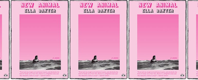 Book cover for New Animal.